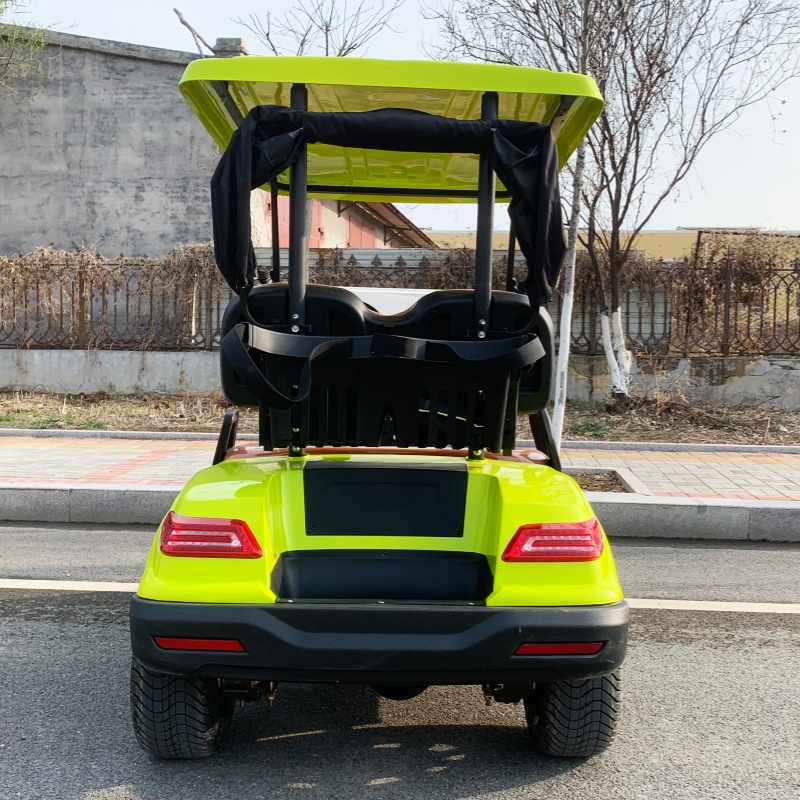 Luxury Bags Price - Factory Price 2 Seat Luxury Electric