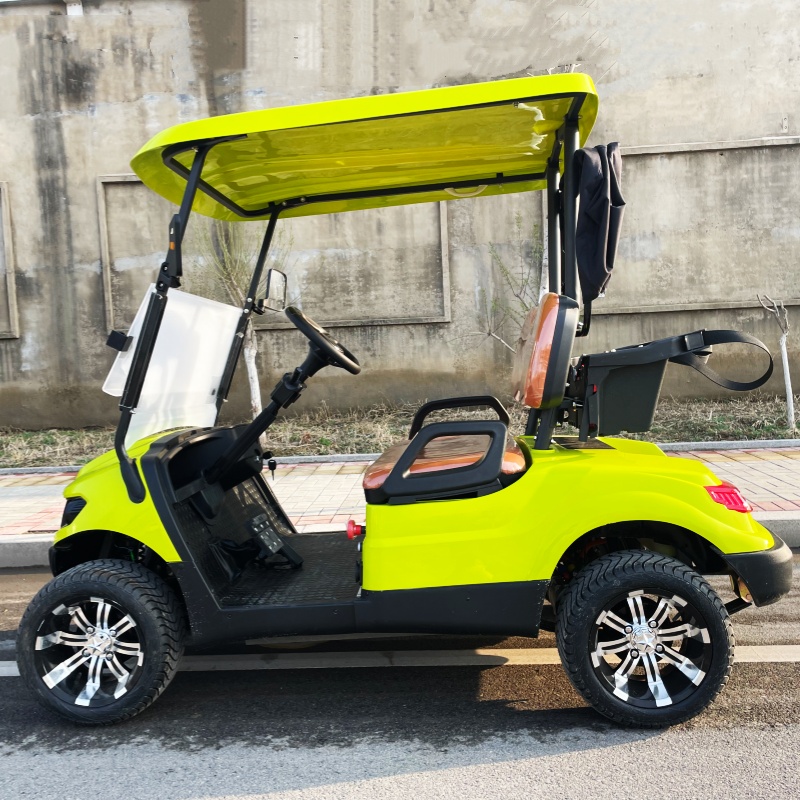 Factory Price 2 Seat Luxury El - Luxury Bags Price recension och pris